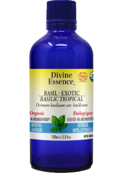 Divine essence - exotic basil organic Online Sale