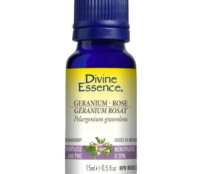 Divine essence - rose geranium Supply