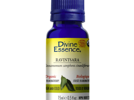 Divine essence - ravintsara organic For Discount