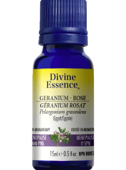 Divine essence - rose geranium (egypt) For Discount