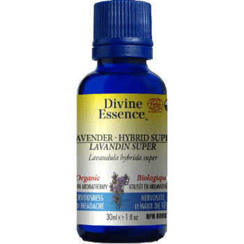 Divine essence - hybrid super lavandin organic Online now