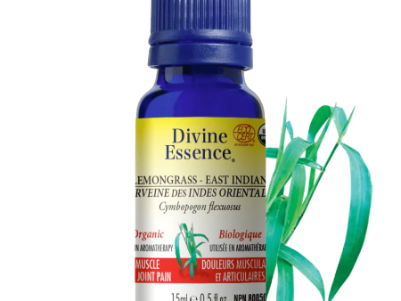 Divine essence - east indian lemongrass organic Cheap