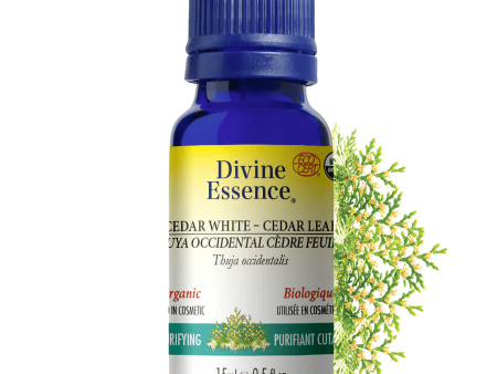 Divine essence - cedar - white (cedar leaf) on Sale