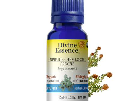 Divine essence - hemlock spruce organic Online