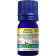 Divine essence - melissa lemon balm 100% organi For Sale