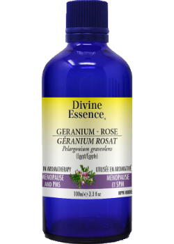 Divine essence - rose geranium Supply